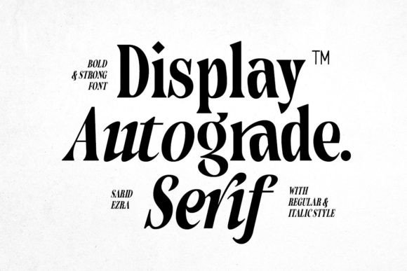 Autograde - Strong Bold Serif Typeface