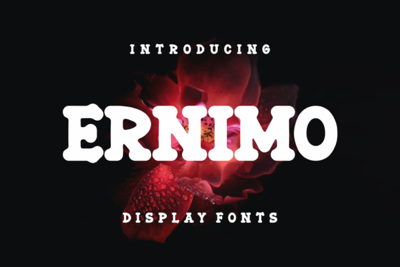 Ernimo: A Designer’s Honest Review for Branding