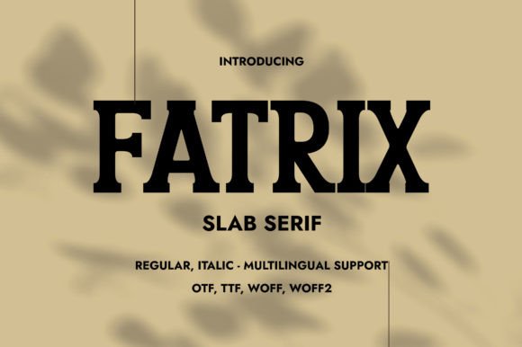Fatrix: The Slab Serif Font for Bold Campaigns