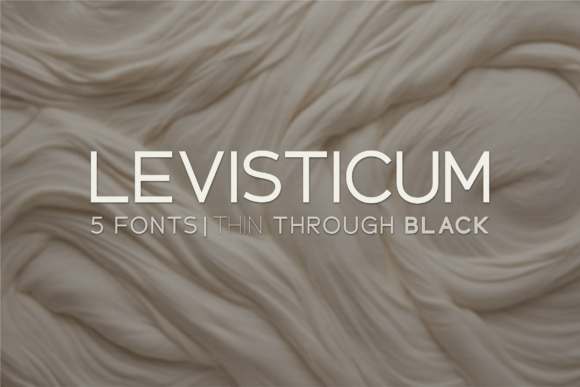 Levisticum: A Versatile Sans Serif Font for Modern Web Design